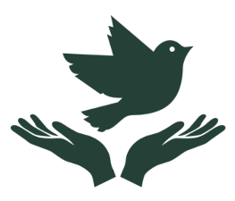 10% discount on Thai Massage